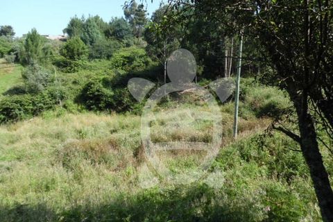 Helårsgrund i Coimbra, Coimbra, Coimbra - € 15.000 | Ref: cbr1606 - foto 11