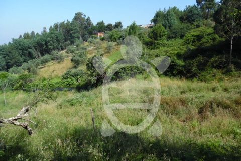Helårsgrund i Coimbra, Coimbra, Coimbra - € 15.000 | Ref: cbr1606 - foto 12