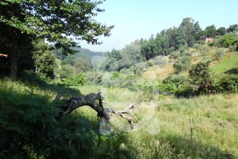 Helårsgrund i Coimbra, Coimbra, Coimbra - € 15.000 | Ref: cbr1606 - foto 13