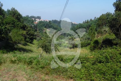 Helårsgrund i Coimbra, Coimbra, Coimbra - € 15.000 | Ref: cbr1606 - foto 14