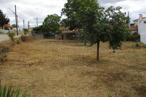 Helårsgrund i Cernache, Coimbra, Cernache - € 50.000 | Ref: cbr1528 - foto 1