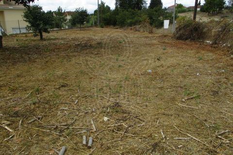Helårsgrund i Cernache, Coimbra, Cernache - € 50.000 | Ref: cbr1528 - foto 3