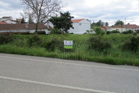Helårsgrund i Cernache, Coimbra, Cernache - € 50.000 | Ref: cbr1528 - foto 4