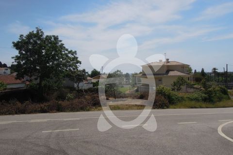 Helårsgrund i Cernache, Coimbra, Cernache - € 50.000 | Ref: cbr1528 - foto 2