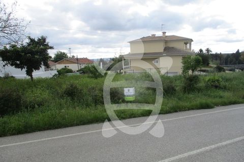 Helårsgrund i Cernache, Coimbra, Cernache - € 50.000 | Ref: cbr1528 - foto 7