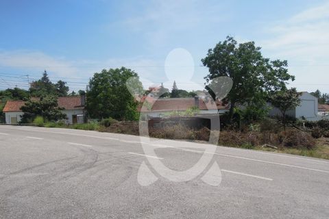 Helårsgrund i Cernache, Coimbra, Cernache - € 50.000 | Ref: cbr1528 - foto 8