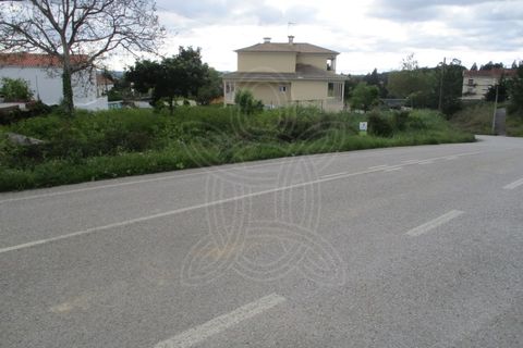 Helårsgrund i Cernache, Coimbra, Cernache - € 50.000 | Ref: cbr1528 - foto 9