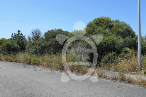 Helårsgrund i Tavarede, Coimbra, Tavarede - € 72.500 | Ref: ff0465 - foto 5