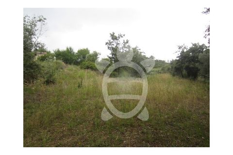 Helårsgrund i Penela, Coimbra, Penela - € 24.500 | Ref: cdx0187 - foto 1