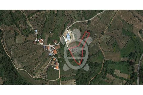 Helårsgrund i Penela, Coimbra, Penela - € 24.500 | Ref: cdx0187 - foto 2