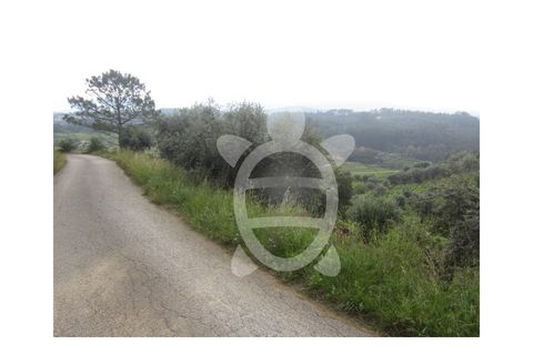 Helårsgrund i Penela, Coimbra, Penela - € 24.500 | Ref: cdx0187 - foto 10