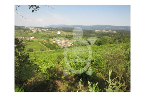 Helårsgrund i Miranda do Corvo, Coimbra, Miranda do Corvo - € 23.900 | Ref: cbr1562 - foto 1