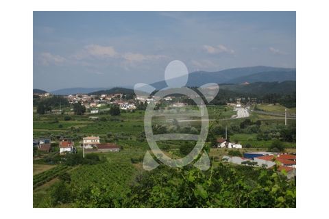 Helårsgrund i Miranda do Corvo, Coimbra, Miranda do Corvo - € 23.900 | Ref: cbr1562 - foto 2