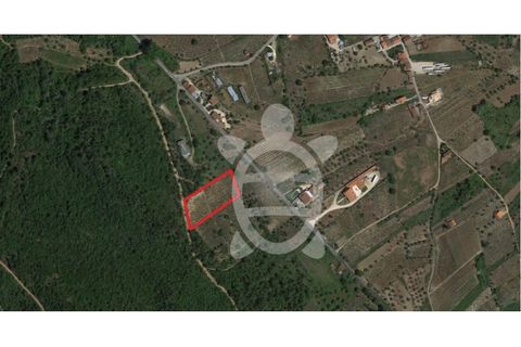 Helårsgrund i Miranda do Corvo, Coimbra, Miranda do Corvo - € 23.900 | Ref: cbr1562 - foto 3