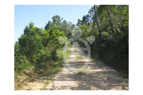 Helårsgrund i Miranda do Corvo, Coimbra, Miranda do Corvo - € 23.900 | Ref: cbr1562 - foto 5