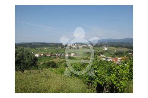 Helårsgrund i Miranda do Corvo, Coimbra, Miranda do Corvo - € 23.900 | Ref: cbr1562 - foto 6
