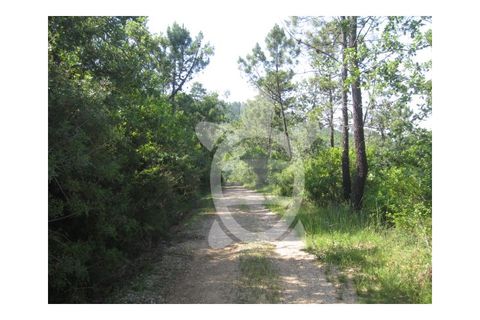Helårsgrund i Miranda do Corvo, Coimbra, Miranda do Corvo - € 23.900 | Ref: cbr1562 - foto 7