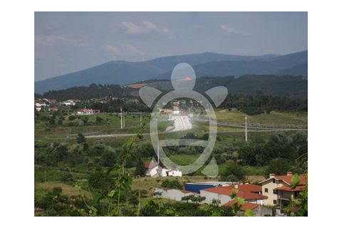 Helårsgrund i Miranda do Corvo, Coimbra, Miranda do Corvo - € 23.900 | Ref: cbr1562 - foto 8