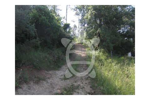 Helårsgrund i Miranda do Corvo, Coimbra, Miranda do Corvo - € 23.900 | Ref: cbr1562 - foto 9