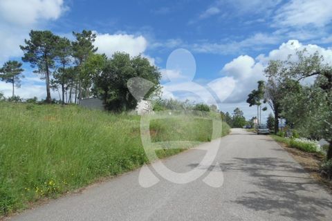 Helårsgrund i Coimbra, Coimbra, Coimbra - € 31.500 | Ref: cbr1585 - foto 1