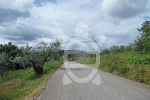 Helårsgrund i Coimbra, Coimbra, Coimbra - € 31.500 | Ref: cbr1585 - foto 2