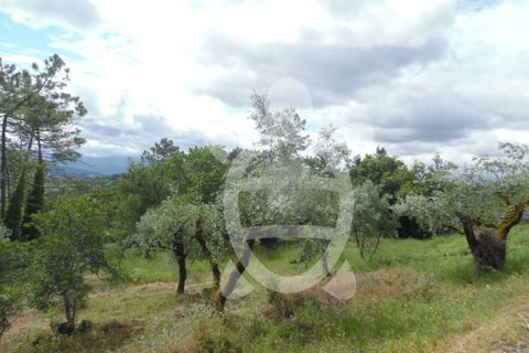 Helårsgrund i Coimbra, Coimbra, Coimbra - € 31.500 | Ref: cbr1585 - foto 3