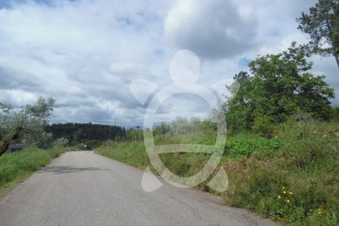 Helårsgrund i Coimbra, Coimbra, Coimbra - € 31.500 | Ref: cbr1585 - foto 5