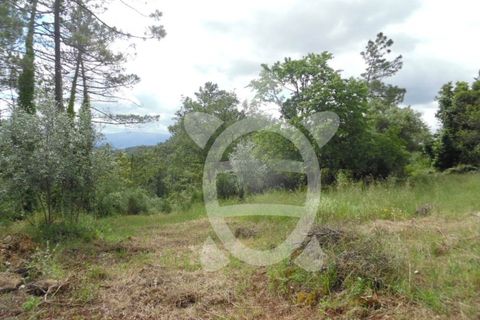 Helårsgrund i Coimbra, Coimbra, Coimbra - € 31.500 | Ref: cbr1585 - foto 6