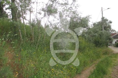 Helårsgrund i Coimbra, Coimbra, Coimbra - € 39.000 | Ref: cbr1521 - foto 2