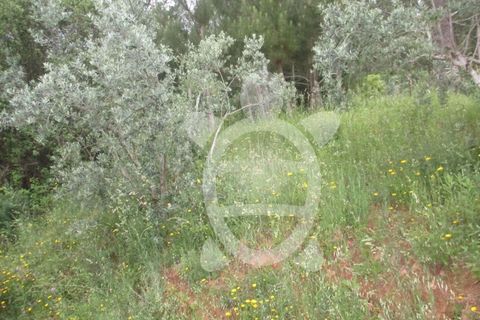 Helårsgrund i Coimbra, Coimbra, Coimbra - € 39.000 | Ref: cbr1521 - foto 3