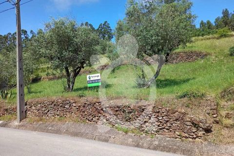 Helårsgrund i Penela, Coimbra, Penela - € 15.000 | Ref: cdx0182 - foto 1