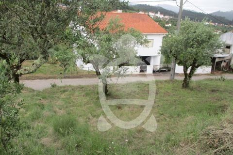 Helårsgrund i Penela, Coimbra, Penela - € 15.000 | Ref: cdx0182 - foto 3