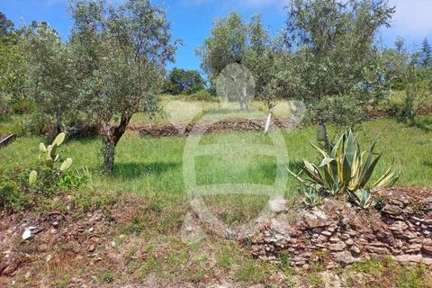 Helårsgrund i Penela, Coimbra, Penela - € 15.000 | Ref: cdx0182 - foto 4