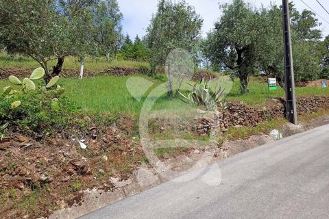 Helårsgrund i Penela, Coimbra, Penela - € 15.000 | Ref: cdx0182 - foto 2