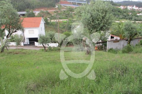 Helårsgrund i Penela, Coimbra, Penela - € 15.000 | Ref: cdx0182 - foto 5