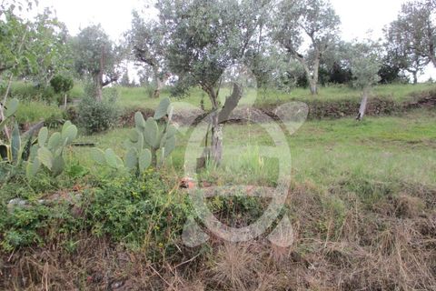 Helårsgrund i Penela, Coimbra, Penela - € 15.000 | Ref: cdx0182 - foto 6