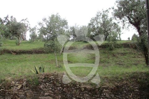 Helårsgrund i Penela, Coimbra, Penela - € 15.000 | Ref: cdx0182 - foto 7