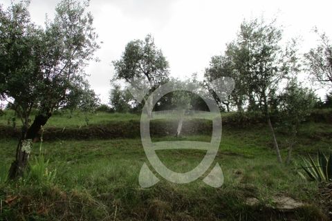 Helårsgrund i Penela, Coimbra, Penela - € 15.000 | Ref: cdx0182 - foto 8