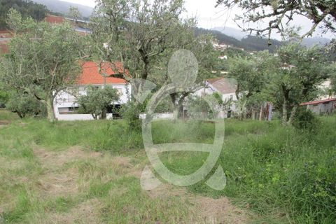 Helårsgrund i Penela, Coimbra, Penela - € 15.000 | Ref: cdx0182 - foto 9