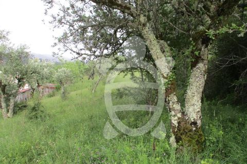 Helårsgrund i Penela, Coimbra, Penela - € 15.000 | Ref: cdx0182 - foto 12