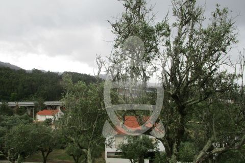 Helårsgrund i Penela, Coimbra, Penela - € 15.000 | Ref: cdx0182 - foto 13
