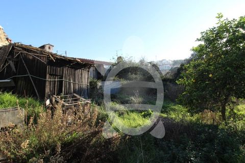Helårsgrund i Coimbra, Coimbra, Coimbra - € 165.500 | Ref: cbr1504 - foto 3