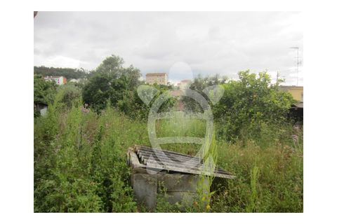 Helårsgrund i Coimbra, Coimbra, Coimbra - € 165.500 | Ref: cbr1504 - foto 6