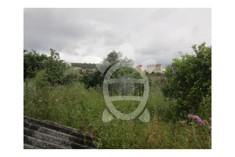 Helårsgrund i Coimbra, Coimbra, Coimbra - € 165.500 | Ref: cbr1504 - foto 8