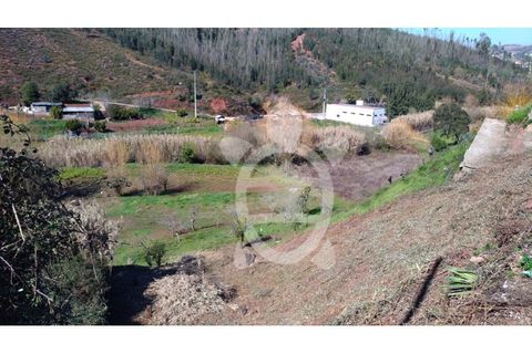 Helårsgrund i Coimbra, Coimbra, Coimbra - € 27.000 | Ref: cbr1717 - foto 4