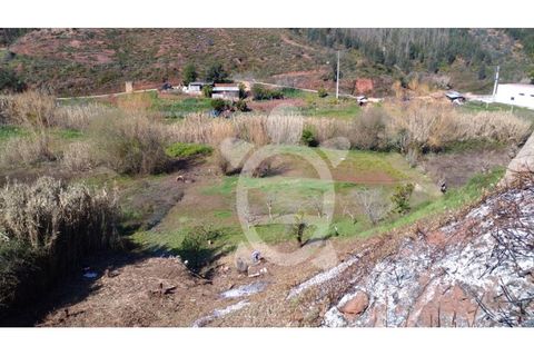 Helårsgrund i Coimbra, Coimbra, Coimbra - € 27.000 | Ref: cbr1717 - foto 5
