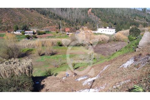Helårsgrund i Coimbra, Coimbra, Coimbra - € 27.000 | Ref: cbr1717 - foto 6