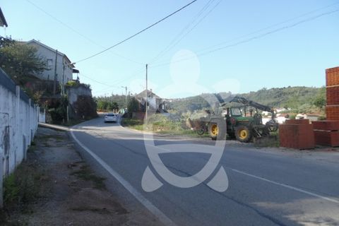 Helårsgrund i Coimbra, Coimbra, Coimbra - € 27.000 | Ref: cbr1717 - foto 8