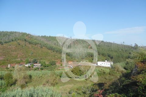 Helårsgrund i Coimbra, Coimbra, Coimbra - € 27.000 | Ref: cbr1717 - foto 10