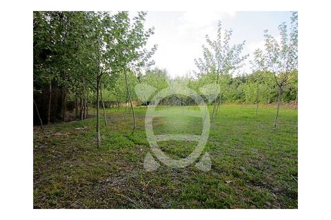 Villa a Paiao, Coimbra, Paiao - € 400.000 | Ref: ff0419 - foto 27